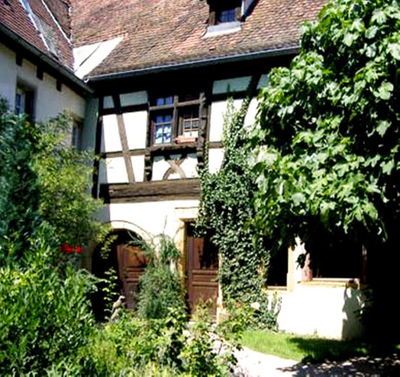 La Grenouille Apartment Turckheim Exterior photo